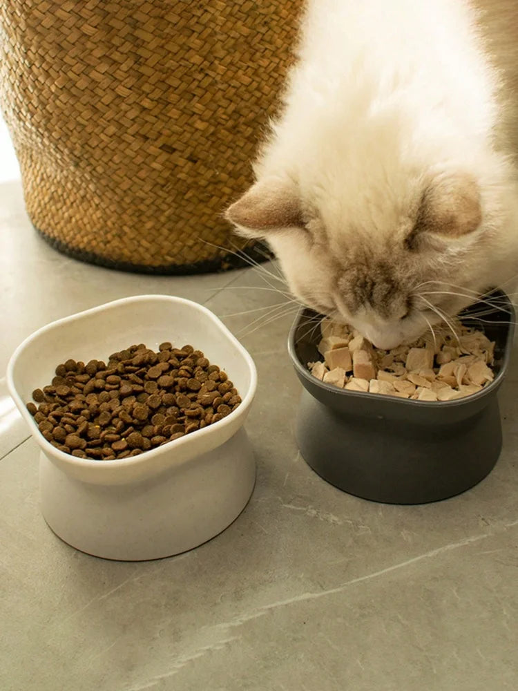 Pet Food & Water Bowl for Cats & Small Dogs