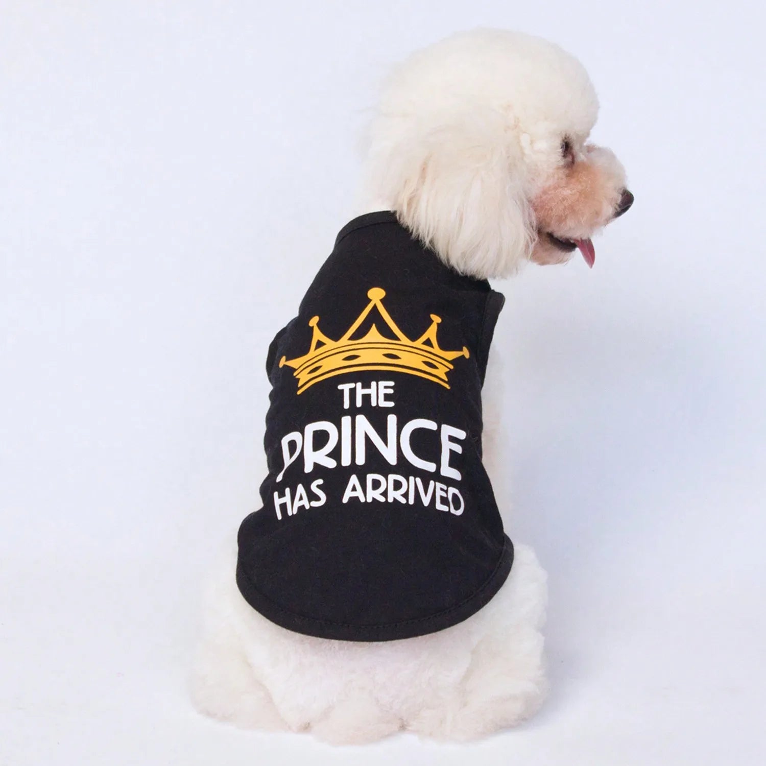 Black pet vest for dogs and cats with yellow crown and 'The Prince Has Arrived' text