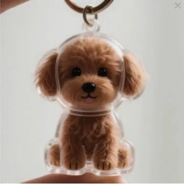 Brown poodle transparent pet hair memorial keychain capsule with clear body and gold chain