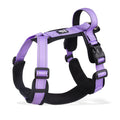 Purple and black dog chest harness with padded buckles and front leash ring