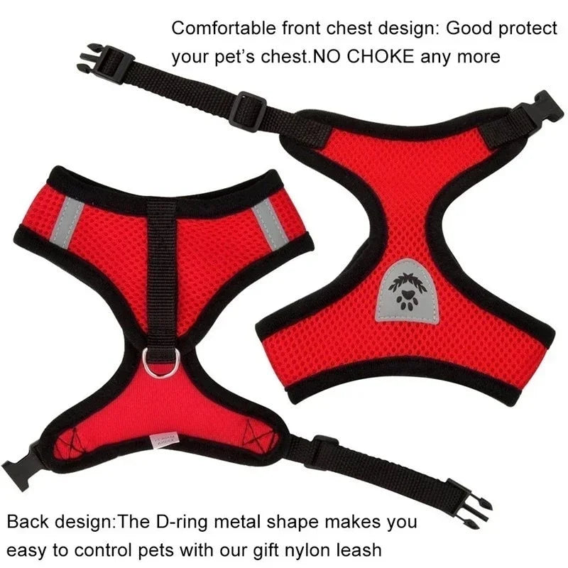 Red mesh cat harness with front chest design, D-ring control, and nylon leash