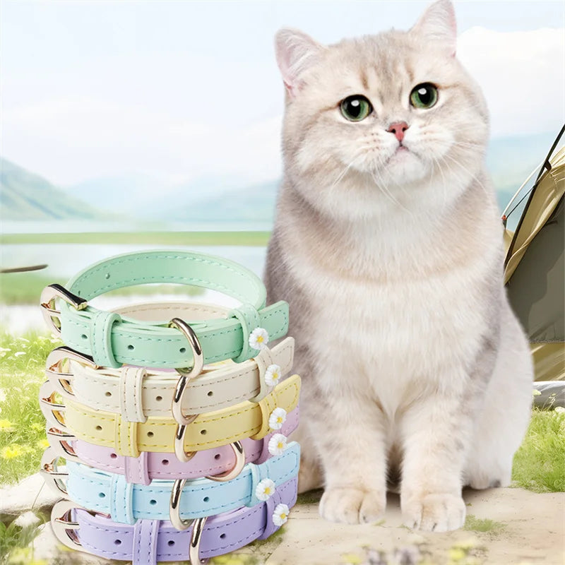 PU leather pet collar with daisy accents, mint green, alloy buckle; shown on pet