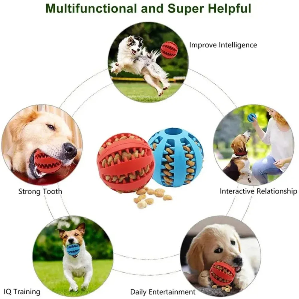 Bite-Resistant Watermelon Treat Leak Food Ball Toy Dogs