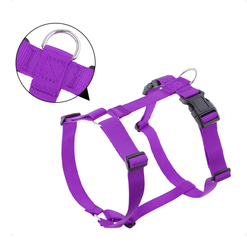 Purple H-shape dog harness with D-ring loop and plastic buckle closure