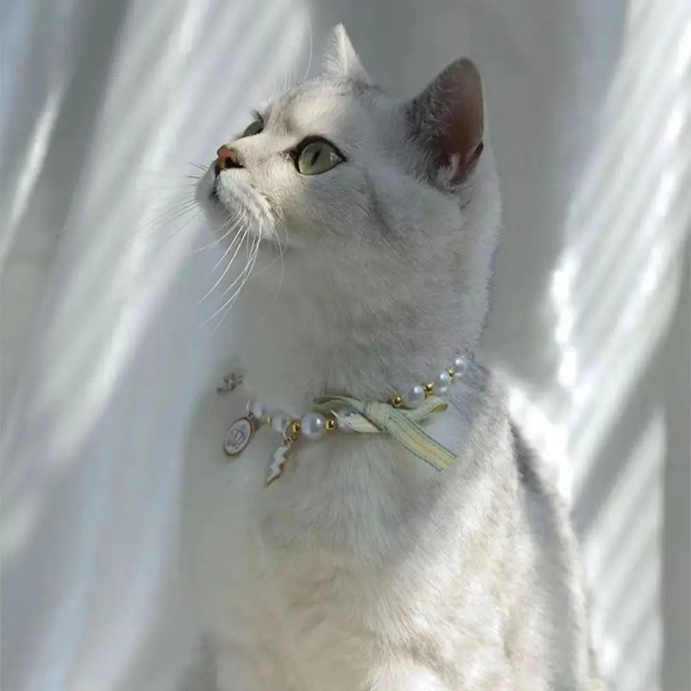Cat wearing a pearl necklace collar with ribbon bow and small charm pendants