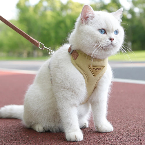 Cat wearing beige breathable harness with leash attached, adjustable straps and buckle