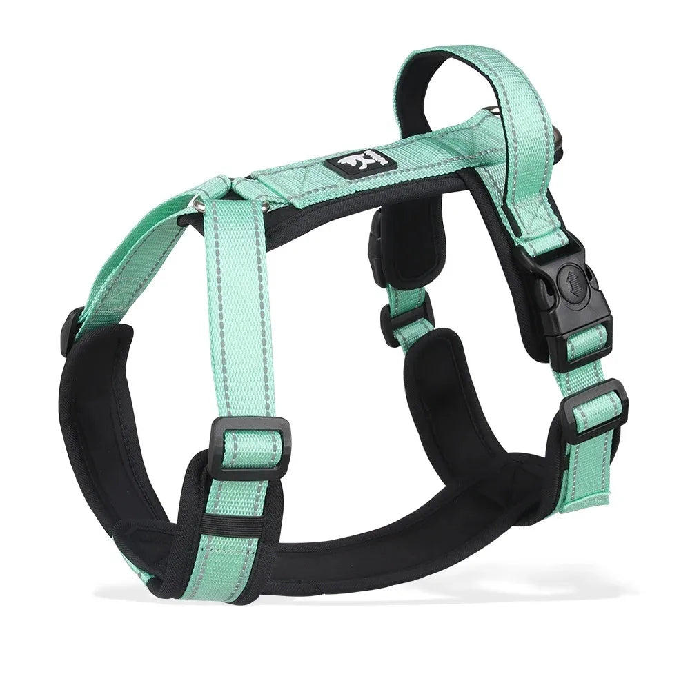 Teal dog harness vest with padded chest support, buckles, and metal D-ring