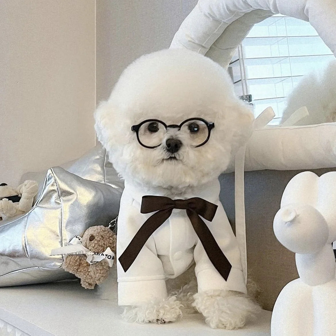 Pet novelty sunglasses with black frames and brown bow on a white dog