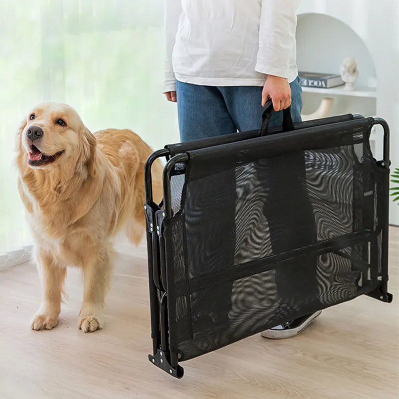 Foldable Chew-Proof Dog Bed for Large Dogs Camping