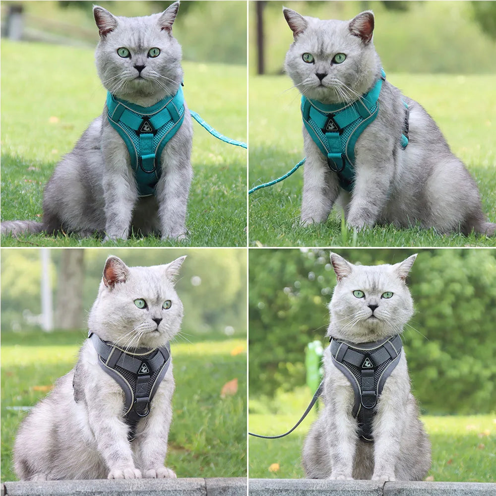 Dog Harness Leash Set Denim Jean Style Cute Adjustable No Pull Small Medium