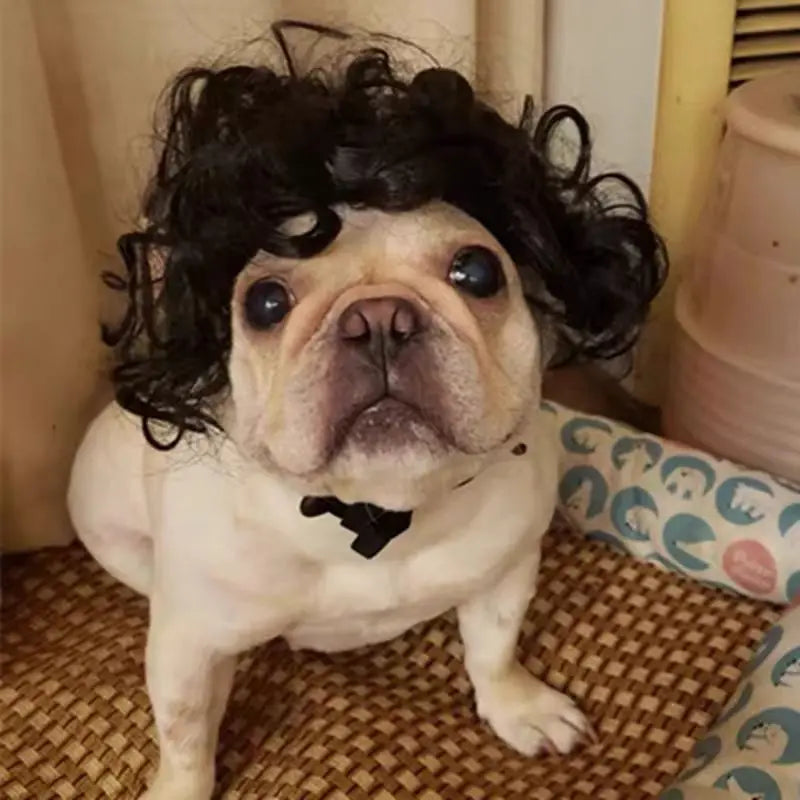 Dog wig headdress with curly black hair and dark chin tie on face