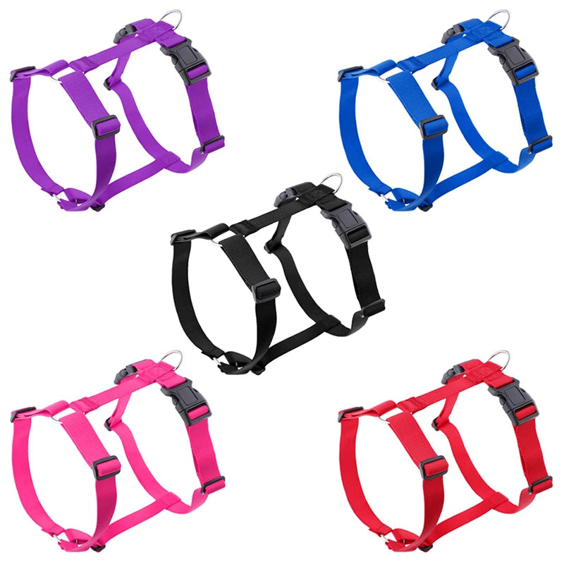 H-shape dog harness set in purple, blue, black, pink, and red