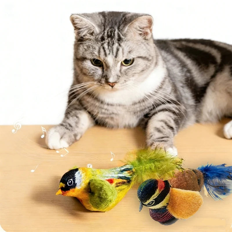 Wall-Hanging Bird Teaser with Catnip Indoor | PawJoyKwT
