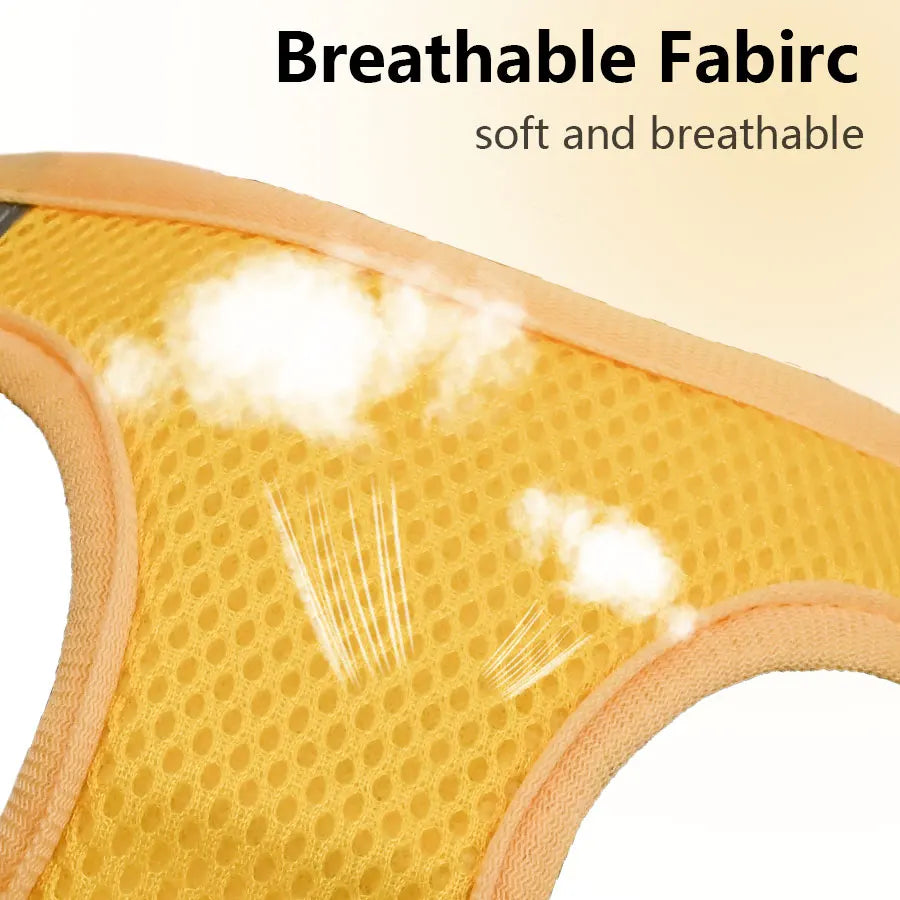 Honeycomb Mesh Dog Harness Leash Set Breathable | PawJoyKwT