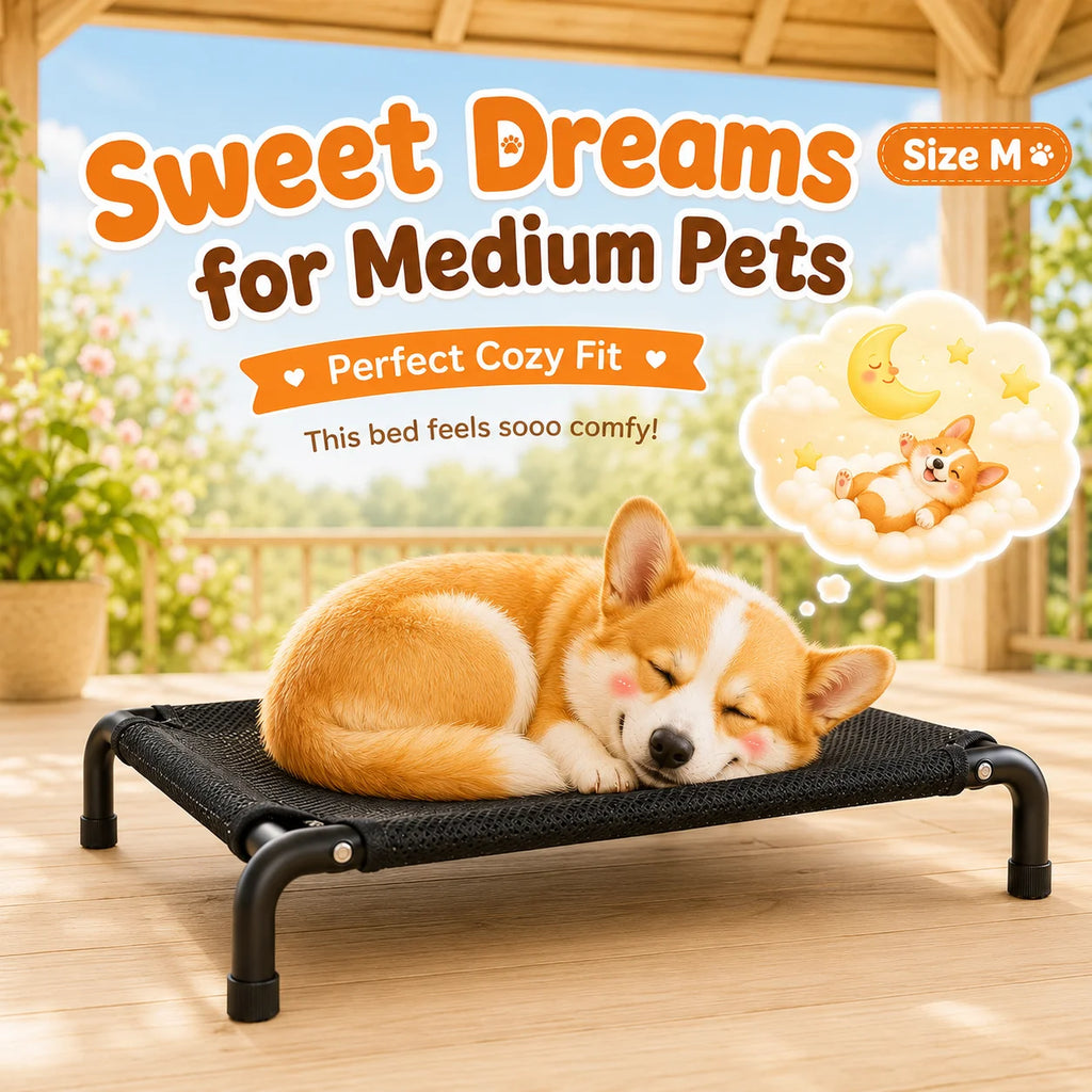 Washable Elevated Breathable Mesh Dog Bed for All Sizes