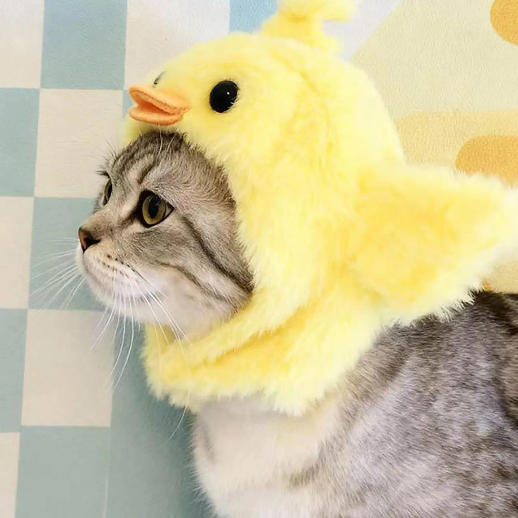 Yellow plush chick costume hat on a gray cat with open face and chin ties