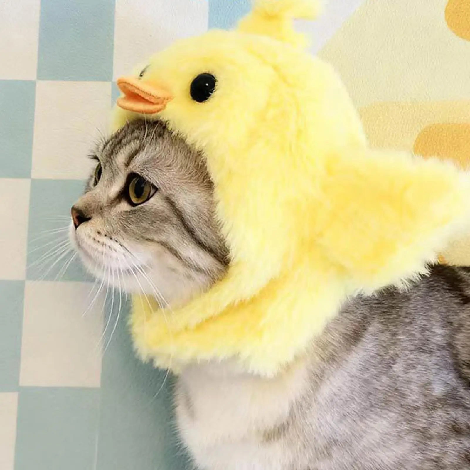 Yellow plush chick costume hat on a gray cat with open face and chin ties