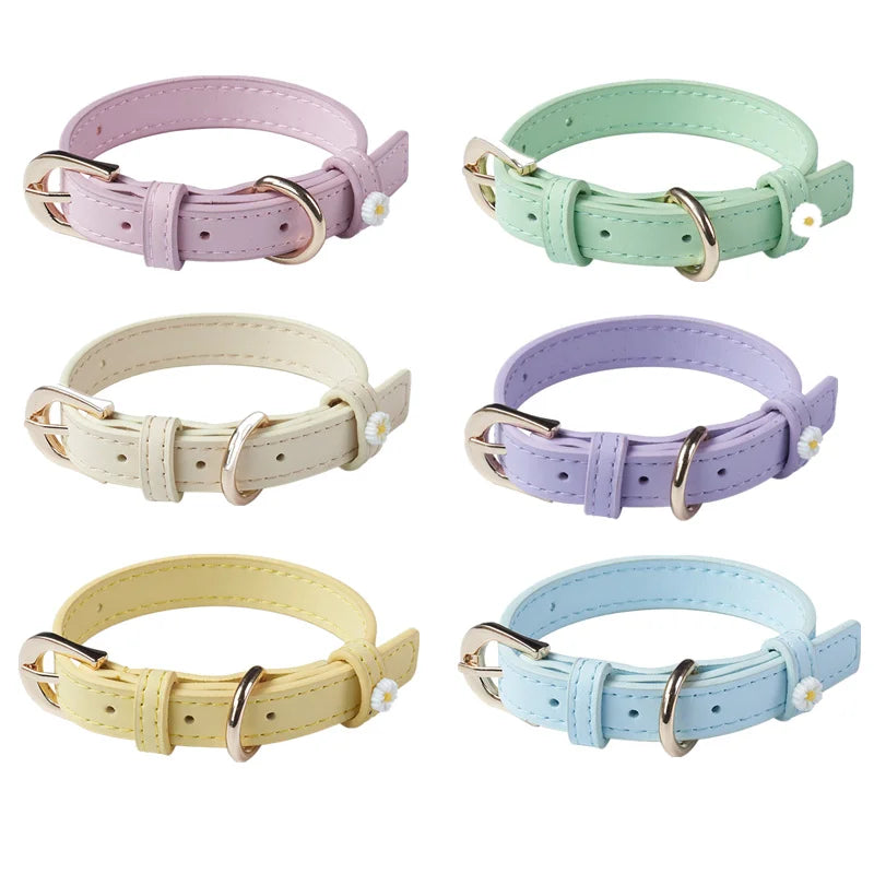 PU leather pet collars with daisy accents and alloy buckle, assorted colors shown