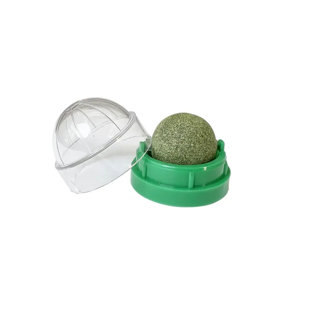 Natural Catnip Wall Stick-On Ball Toy - Cat Treat Scratcher Snack