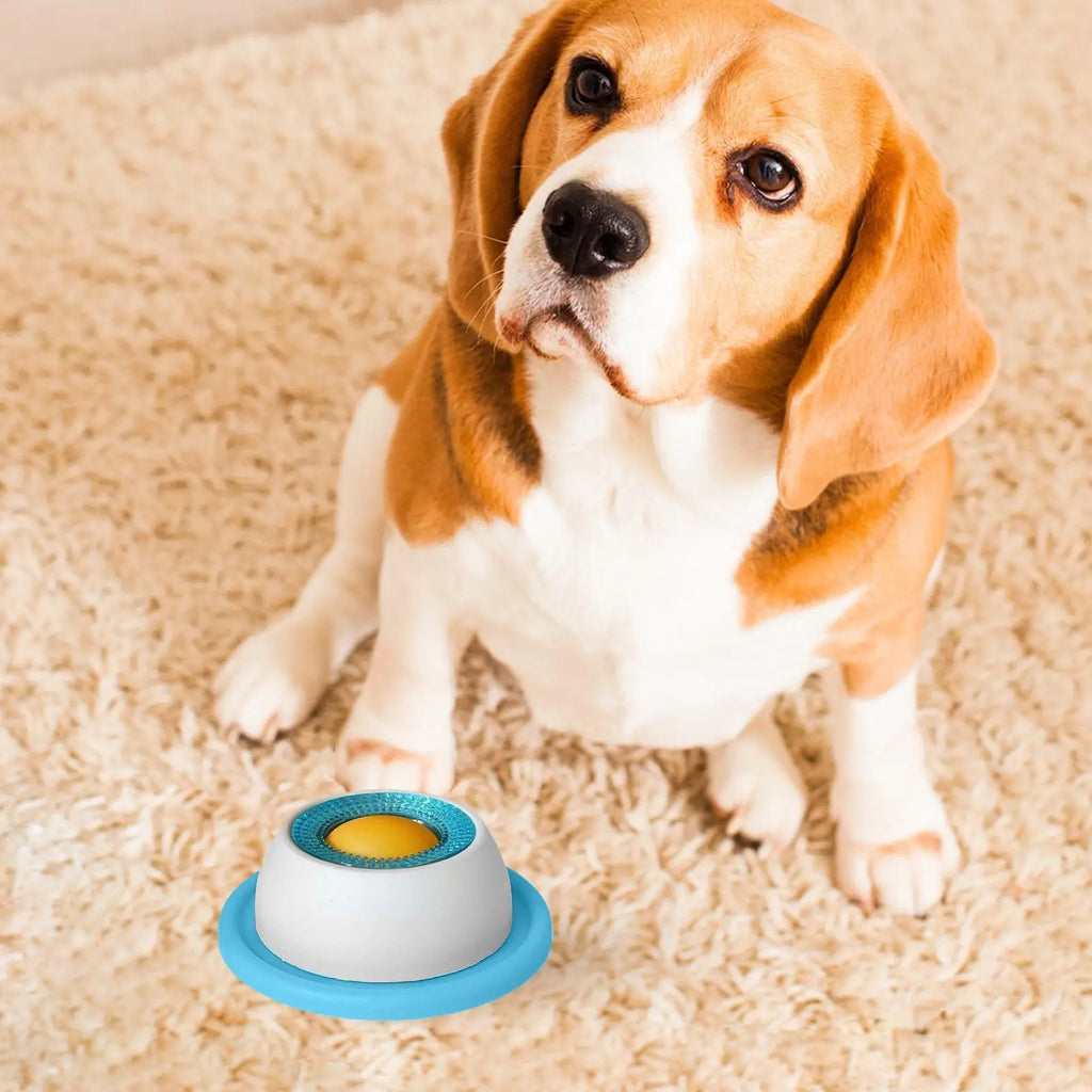 Slow Feeder Puzzle Toy Healthy Eating Treat Crate for Puppies