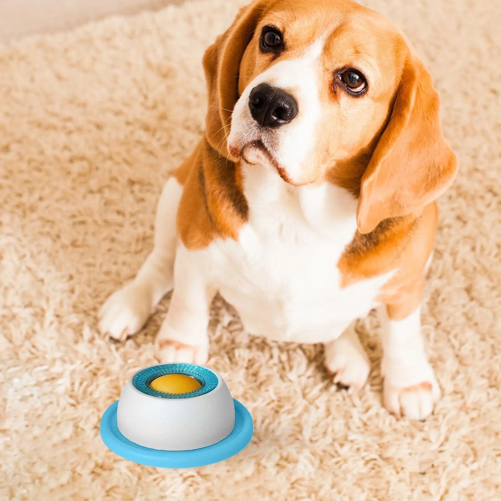 Slow Feeder Puzzle Toy Healthy Eating Treat Crate for Puppies