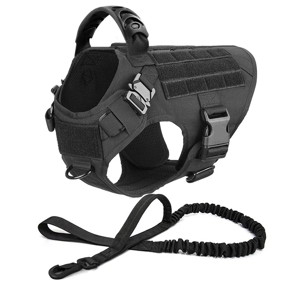 Black dog harness with collar and coiled leash