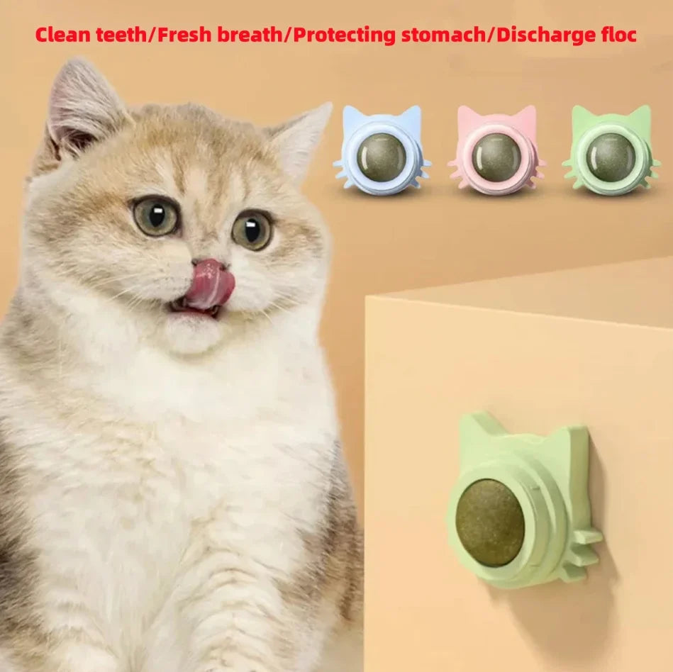 Wall Spin Catnip Ball Toy for Cats | PawJoyKwT
