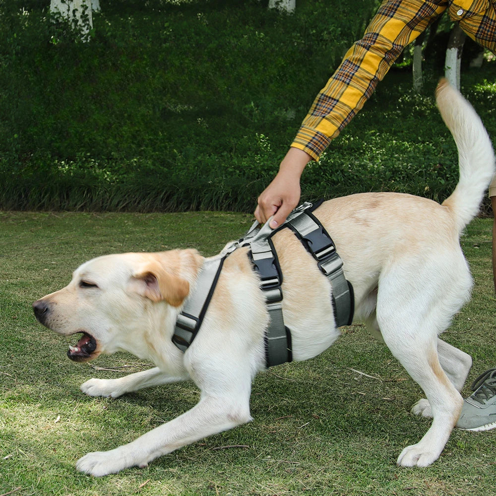 Reflective Military Service Dog Harness No-Pull Vest | PawJoyKwT