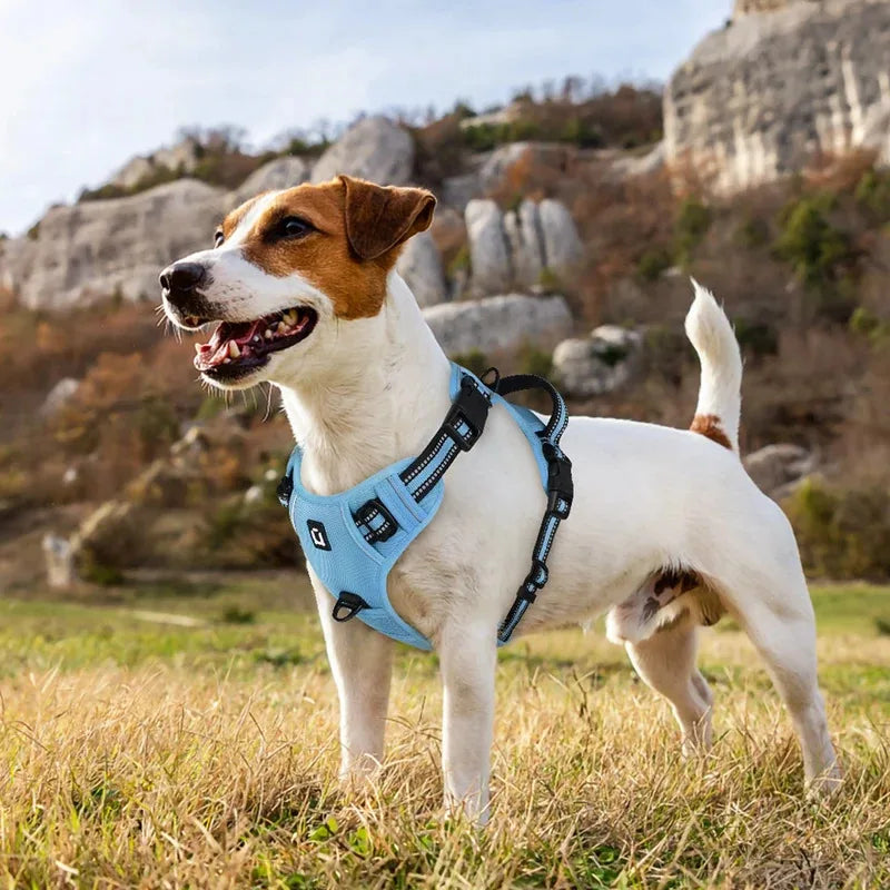 No-Pull Reflective Dog Harness Leash Combo Padded | PawJoyKwT