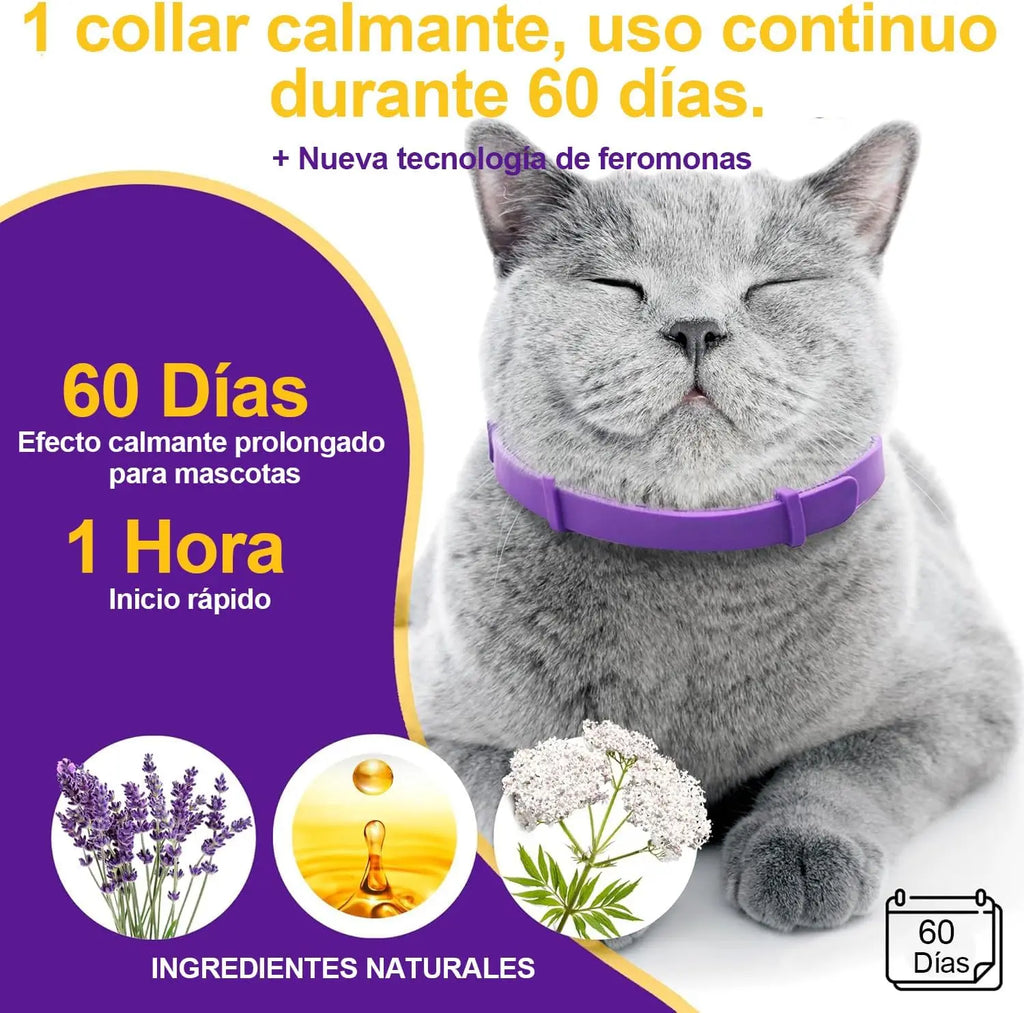 Cat Calming Collar 4Pcs Pheromone 60 Days Stress Relief