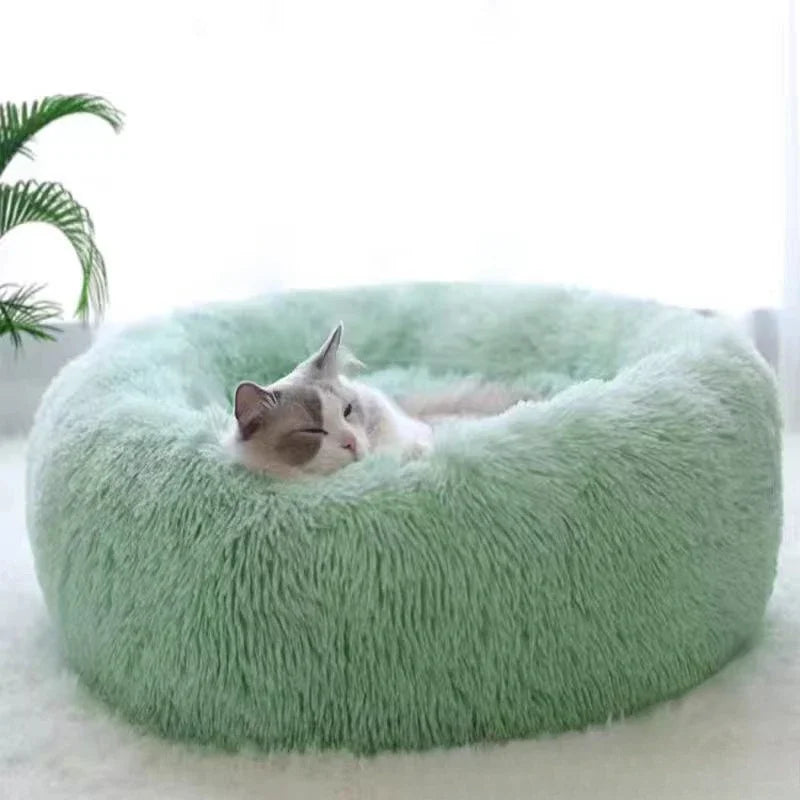 Round faux fur plush pet bed in light green, donut shape with cats inside