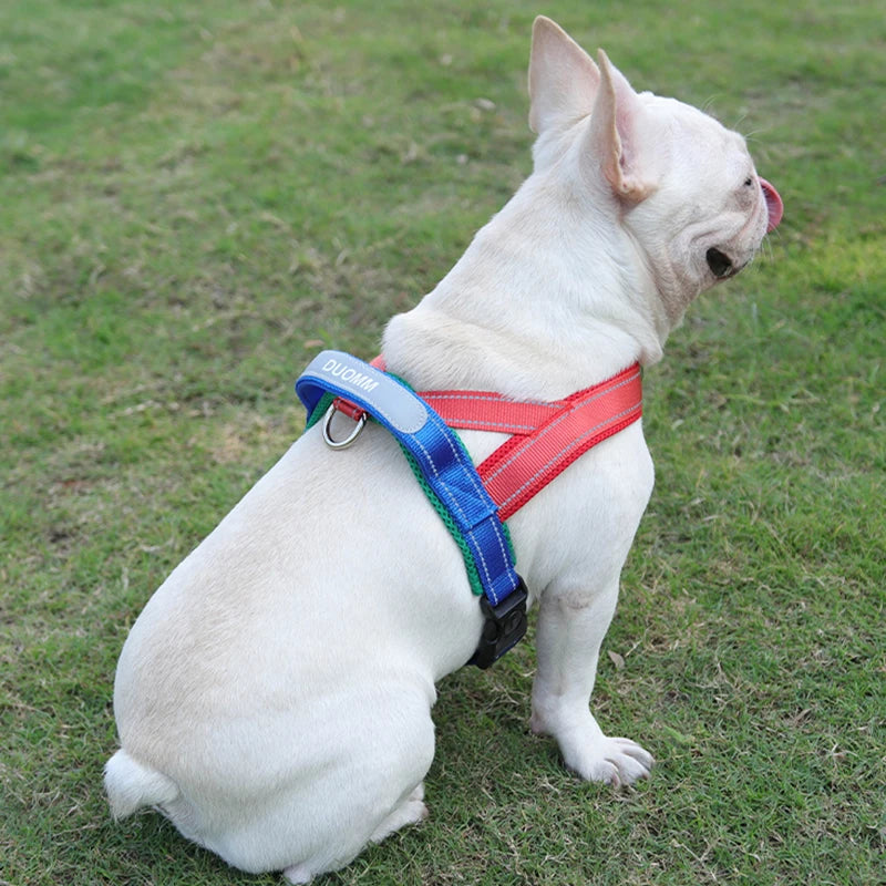 Dog saddle-type chest harness strap in red with blue shoulder straps