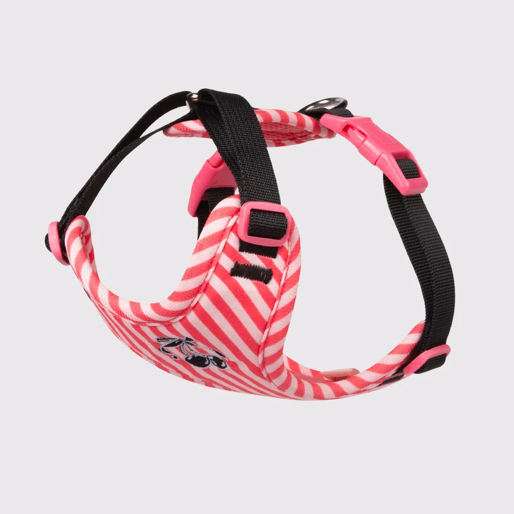 Dog harness and leash set with red-and-white striped fabric and black adjustable straps