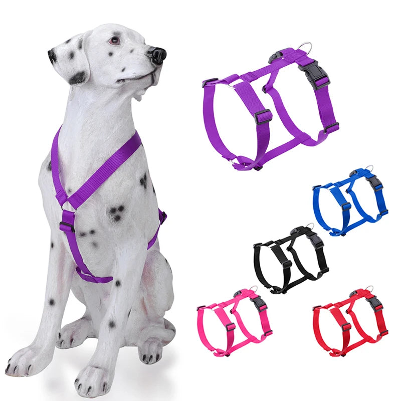 Colorful dog H-shape harnesses set in purple, blue, black, pink, and red