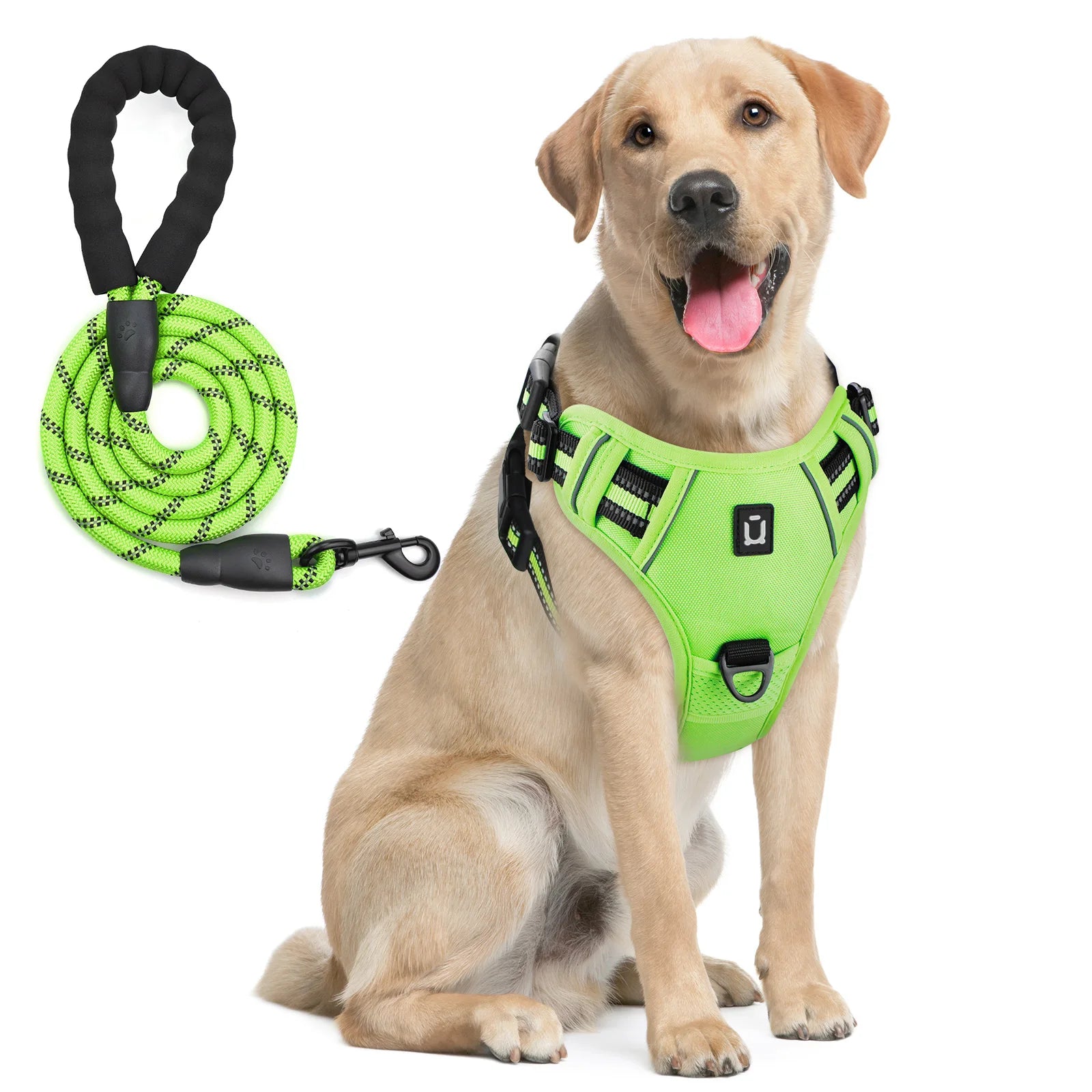 Dog harness and leash set in neon green with reflective accents, worn on a tan dog