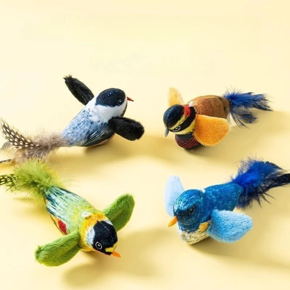 Wall-Hanging Bird Teaser with Catnip Indoor | PawJoyKwT