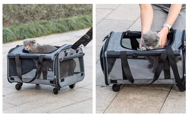 Airline Approved Soft Sided Dog Cat Carrier Bag