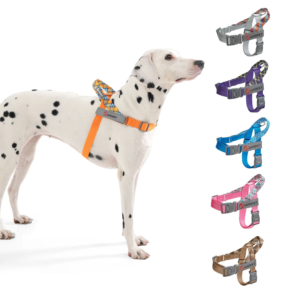 No-Pull Flat Rope Nylon Dog Harness Large Heavy | PawJoyKwT
