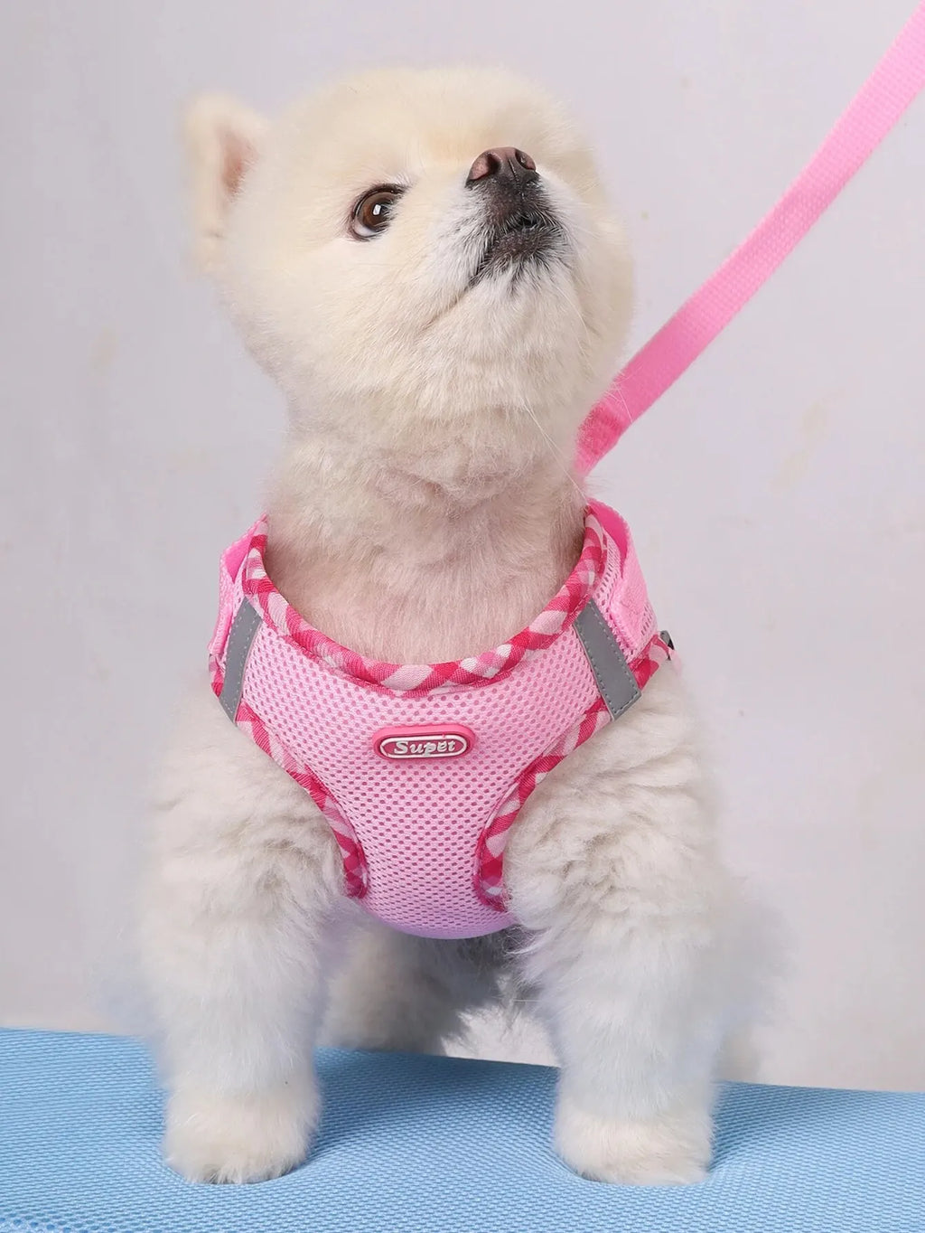 Dog Harness Leash Set Rainbow Colorful Cute Adjustable No Pull Vest Small Medium