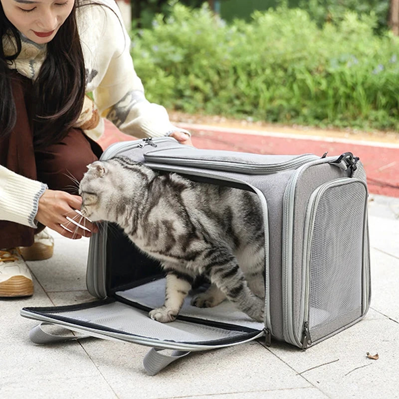 Airline Approved Portable Soft Backpack Pet Carrier