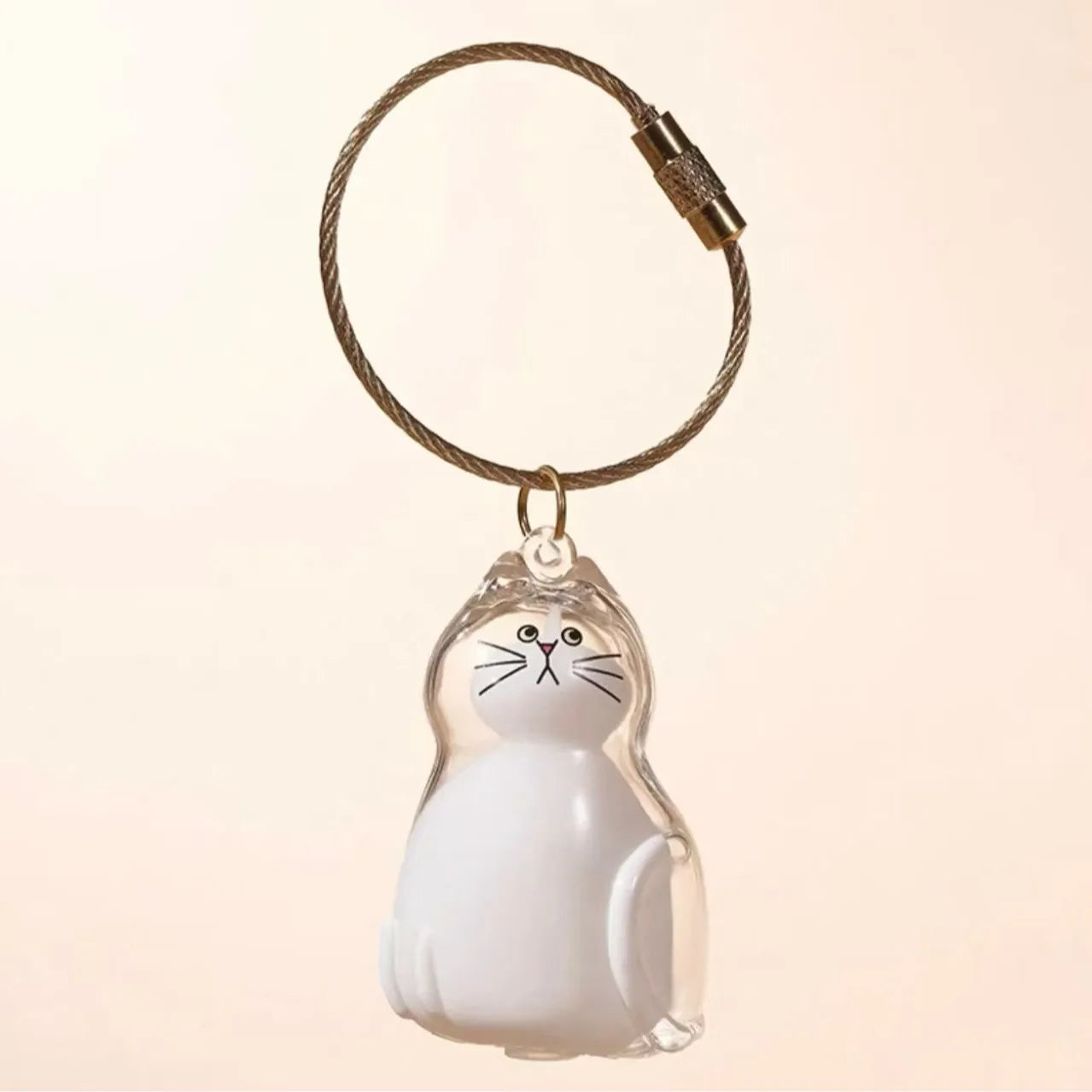 Clear cat-shaped resin capsule keychain pendant on braided cord