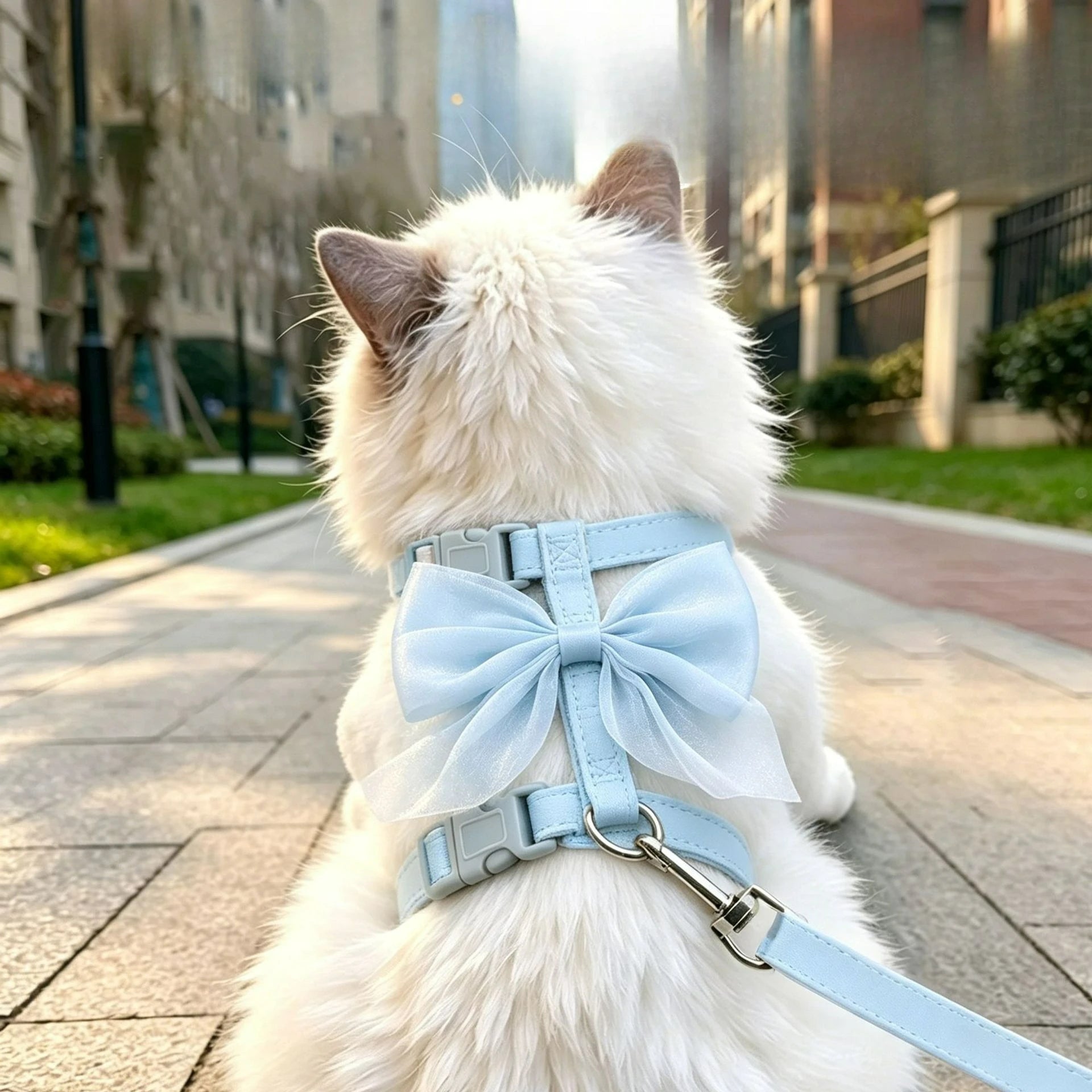 Cat wearing blue cat harness and leash set with large tulle bow and metal leash clasp