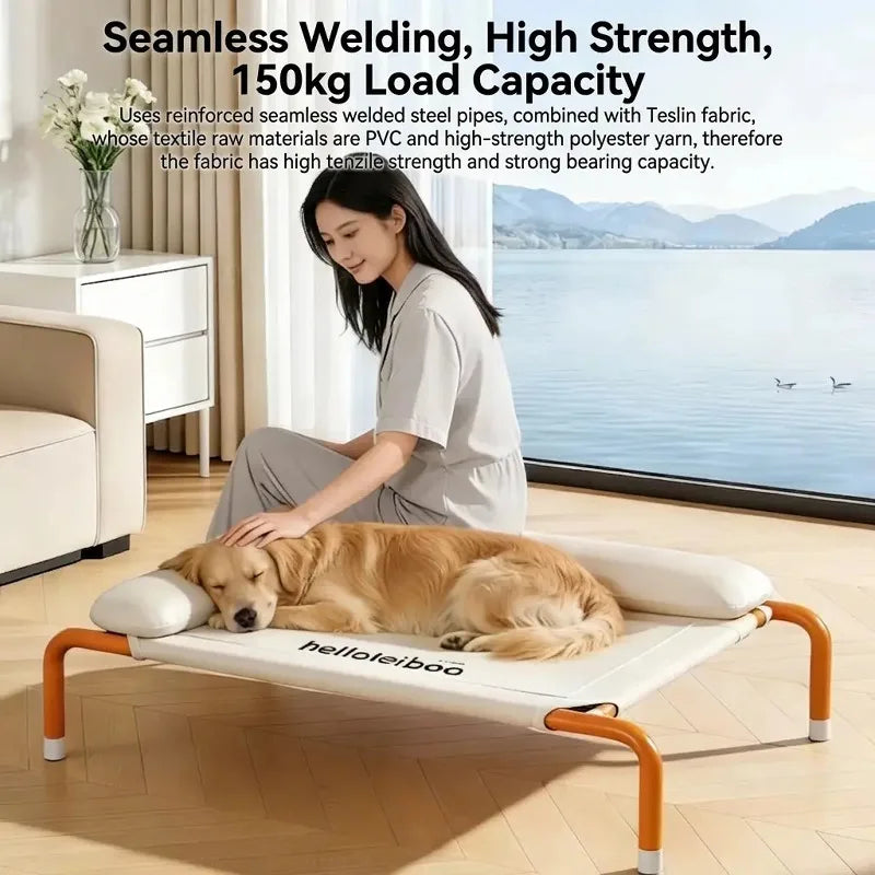 Elevated Breathable Mesh Dog Bed with Removable Pillow Cats Dogs