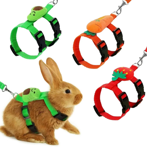 Adjustable pet harness and leash set with green frog design, black buckles, silver leash clip.