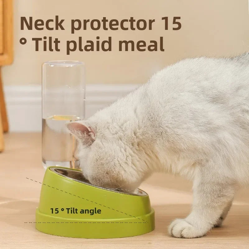 Double Bowl Pet Feeder with Auto-Refill Water Dispenser