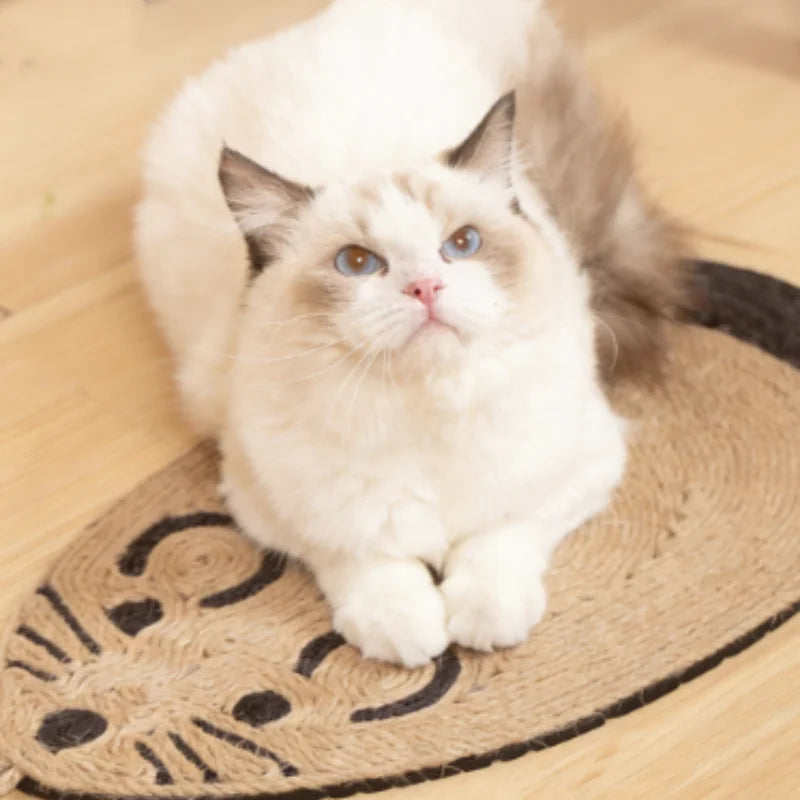 Cat Scratcher Board Claw Sharpener Mat - Grinding Nail Pad and Bed