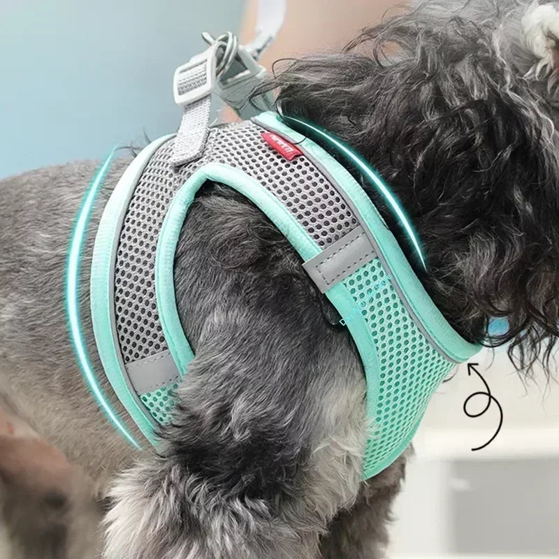 Dog Harness Leash Set Plaid Pattern Cute Adjustable No Pull Vest Small Medium