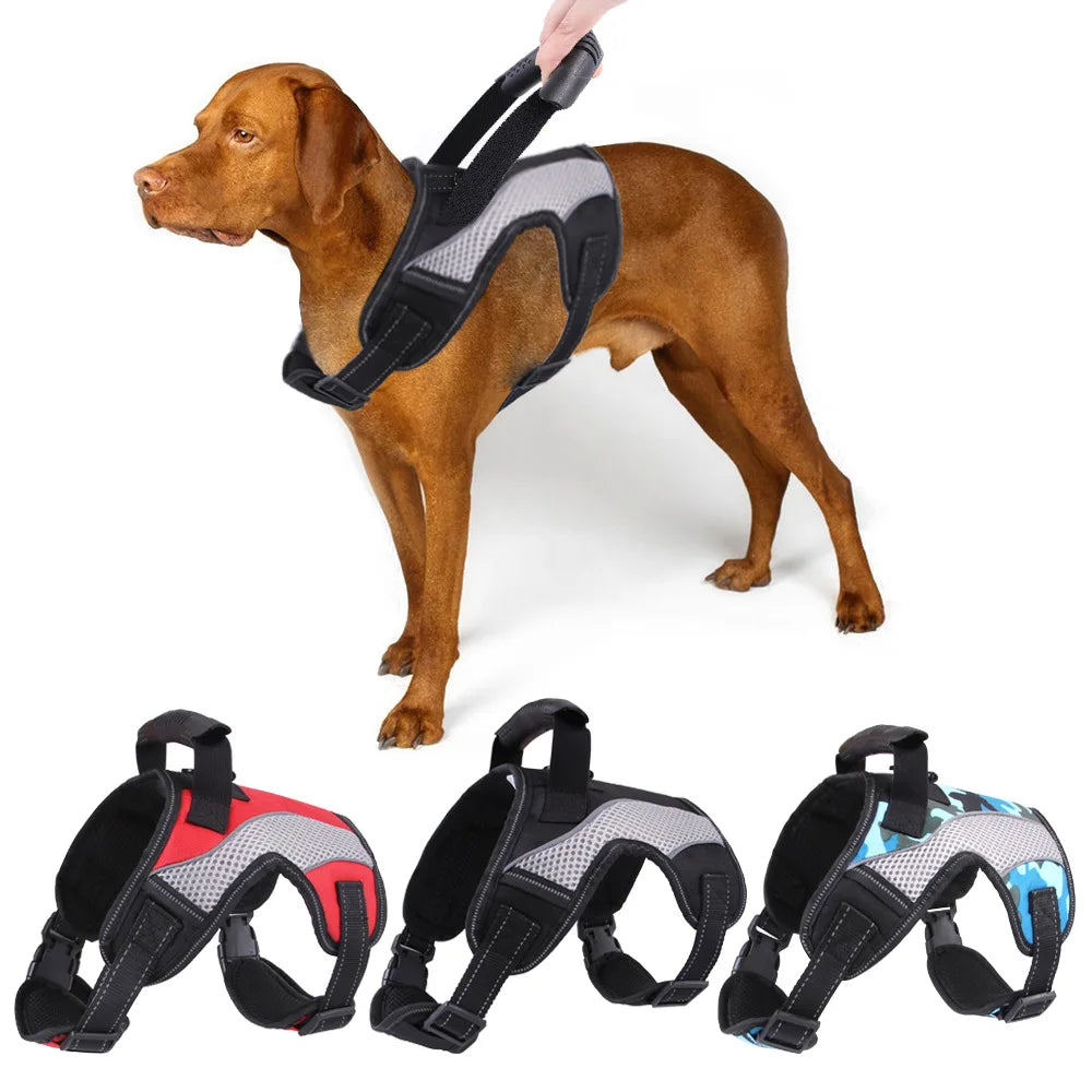 No-Pull Padded Dog Harness Leash Clips Easy Control | PawJoyKwT