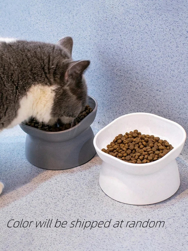 Pet Food & Water Bowl for Cats & Small Dogs