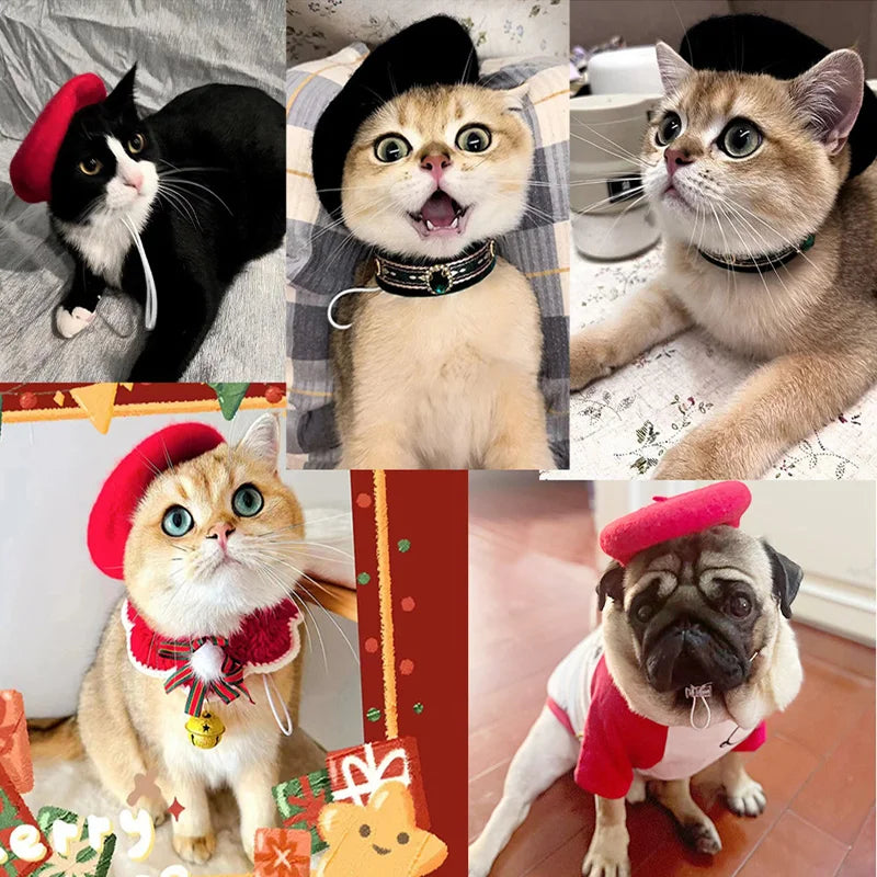 Pet beret hats in red and black, worn by cats and a dog